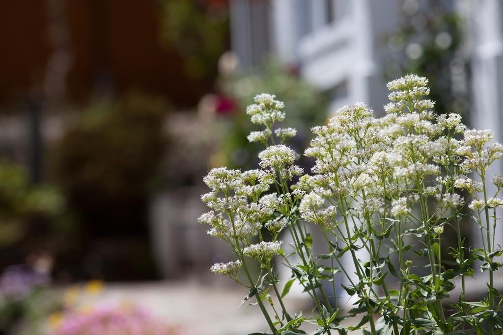 Penwinnick House B&B St Austell Kültér fotó